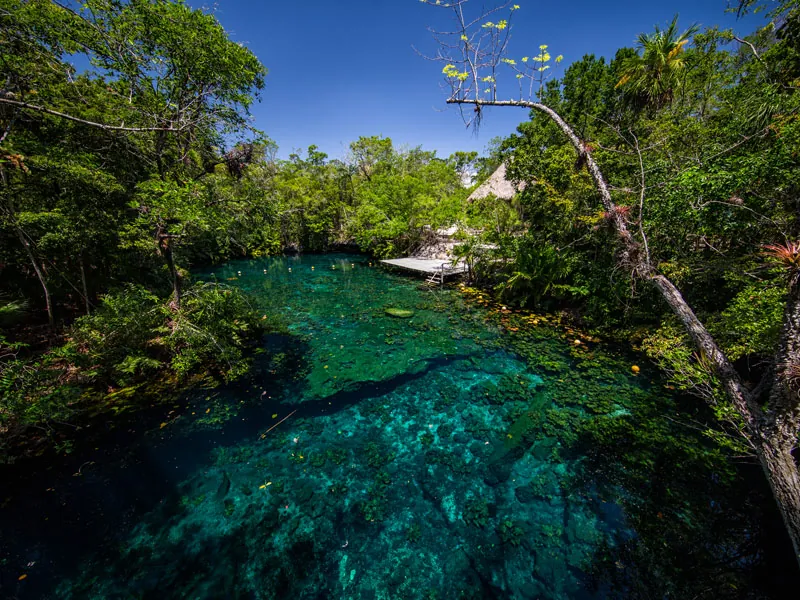 An open cenote of deep green-blue water seen from above, ringed by jungle