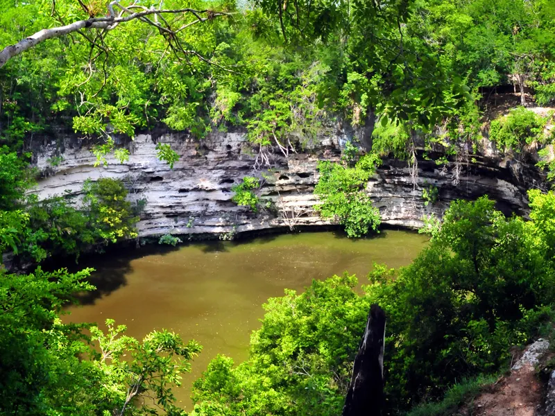 A round cenote with sheer limestone walls, ringed by dense green jungle