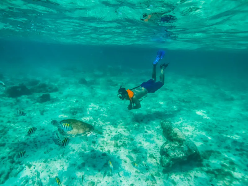 A snorkeler diving toward a sea turtle over a shallow sandy reef