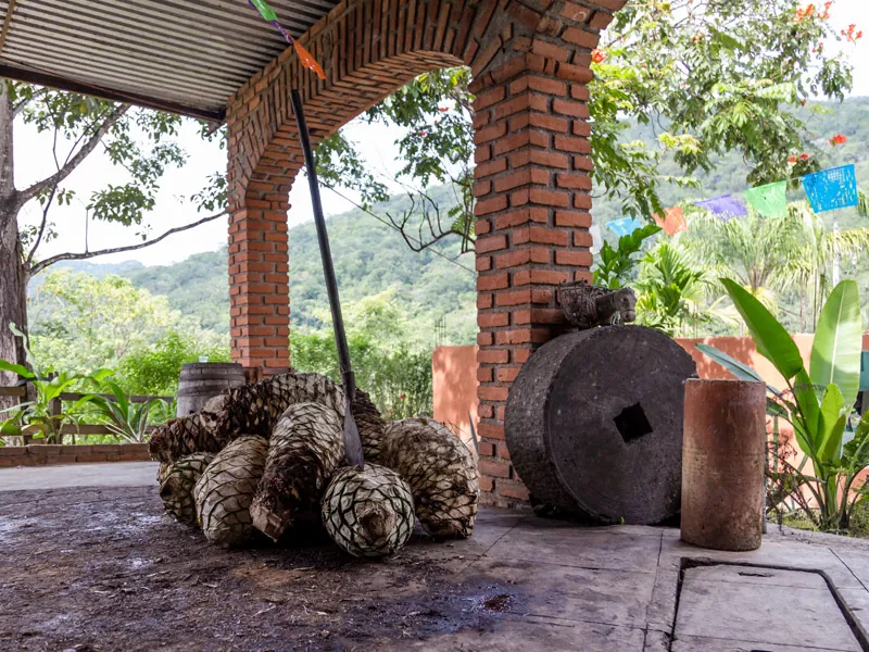Cooked agave piñas and a stone tahona wheel under a brick arch at a distillery near Puerto Vallarta