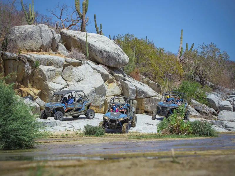 UTVs driving among granite boulders and cactus