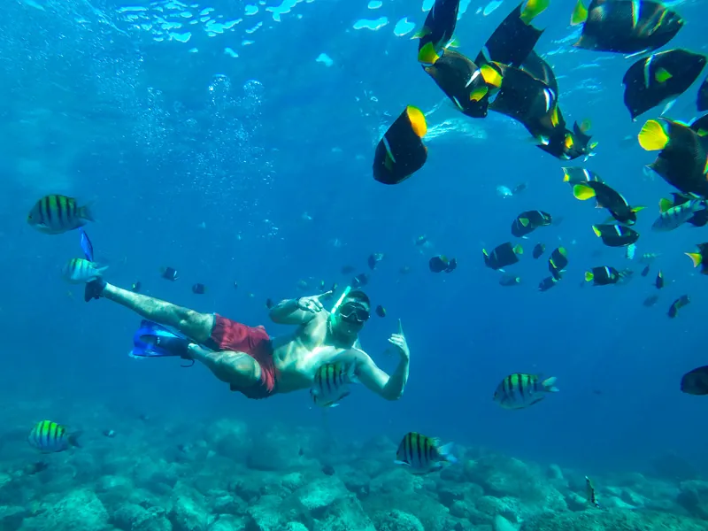 Snorkeler diving among yellow and black reef fish in clear water at Los Arcos