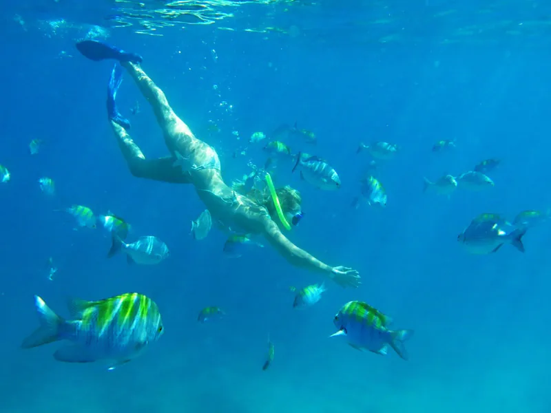 A snorkeler swimming among striped tropical fish in deep blue water
