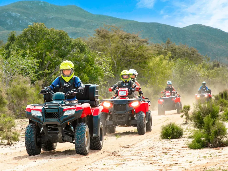 Line of ATVs on a sandy trail below green mountains