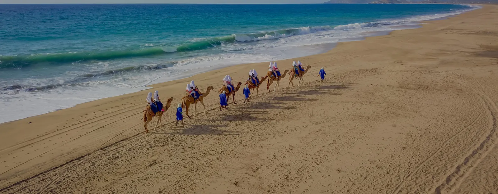 Line of camels and riders walking along a wide sandy beach beside the surf