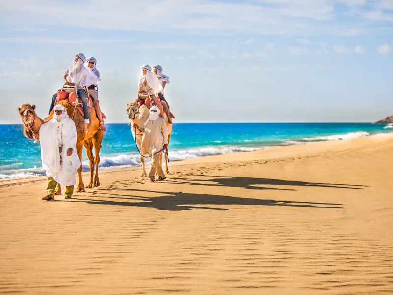 Guests riding camels along a Pacific beach, led by a guide in white robes