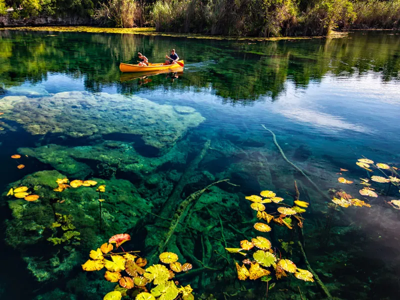 A canoe crossing a wide, clear cenote with yellow lilies and green water plants in the foreground
