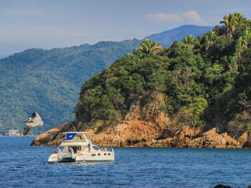 Catamaran anchored beside a jungle-covered island