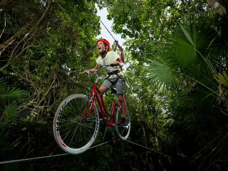 A boy in a harness rides a bicycle along a high wire through the jungle canopy