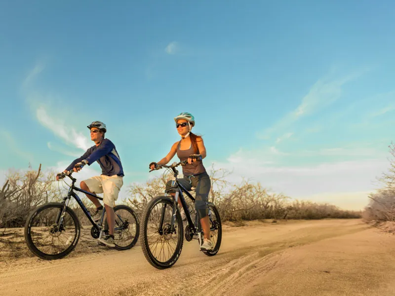 Two cyclists riding a dirt road through the desert