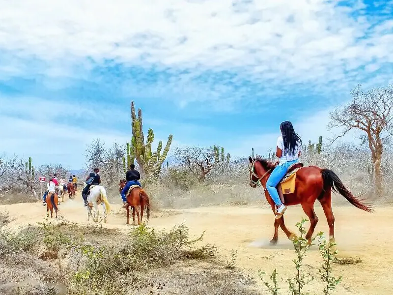Riders on a sandy desert trail among cactus under a blue sky