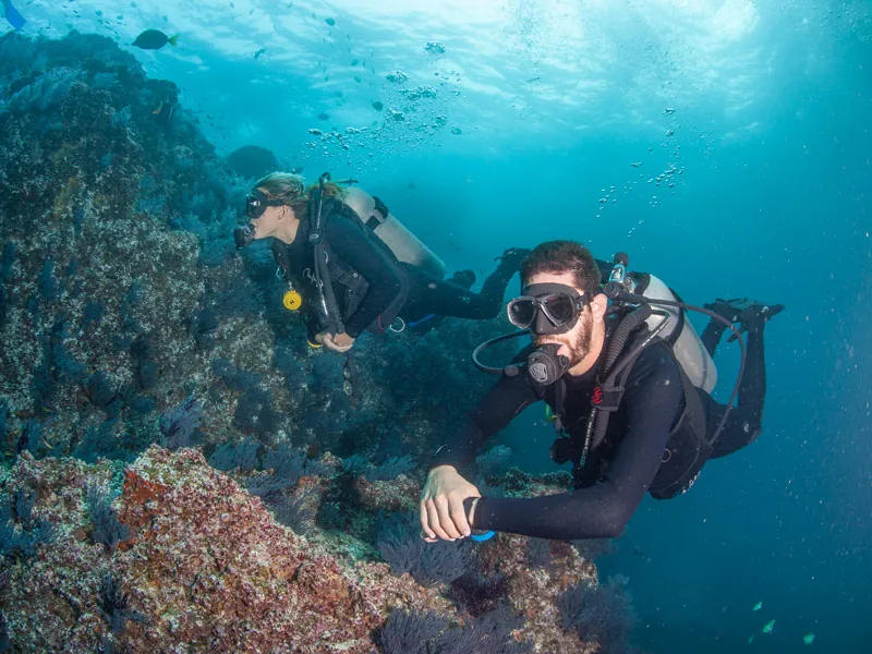 Two divers exploring a rocky reef in clear blue water