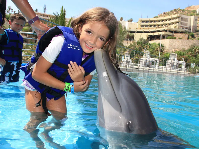 Young girl in a life vest receiving a dolphin kiss in the pool