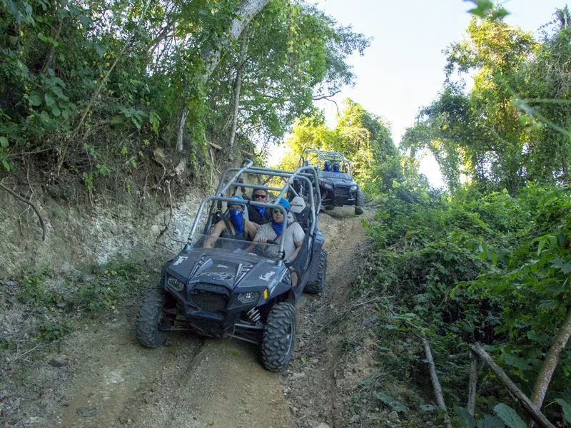 RZR buggies descending a narrow jungle track between banks of vegetation
