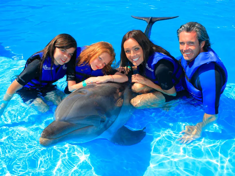 Family of four in life vests lying beside a dolphin in shallow pool water