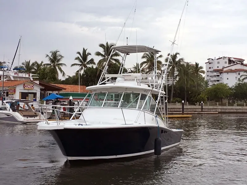 Fishing boat moored at the marina with palms behind
