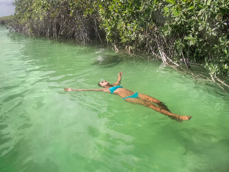 A woman floating on her back in clear green water beside mangrove roots