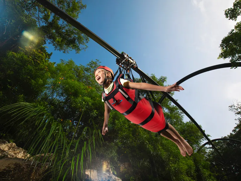 A girl in a harness flies face-down along a curved rail above the trees