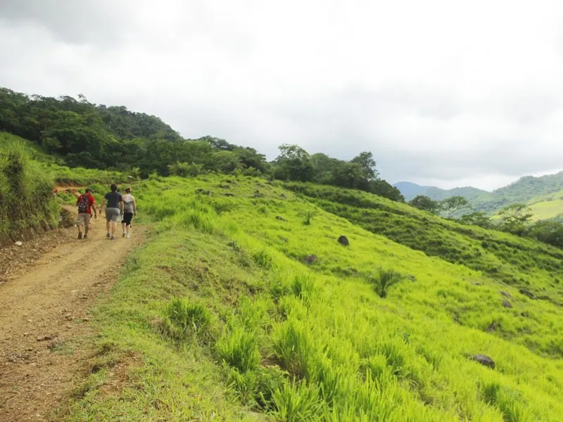 Hikers on a dirt track across a bright green hillside under a cloudy sky in the Sierra Madre