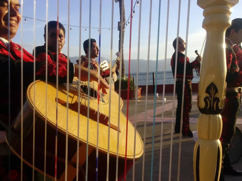 Harp and guitar of a trio performing