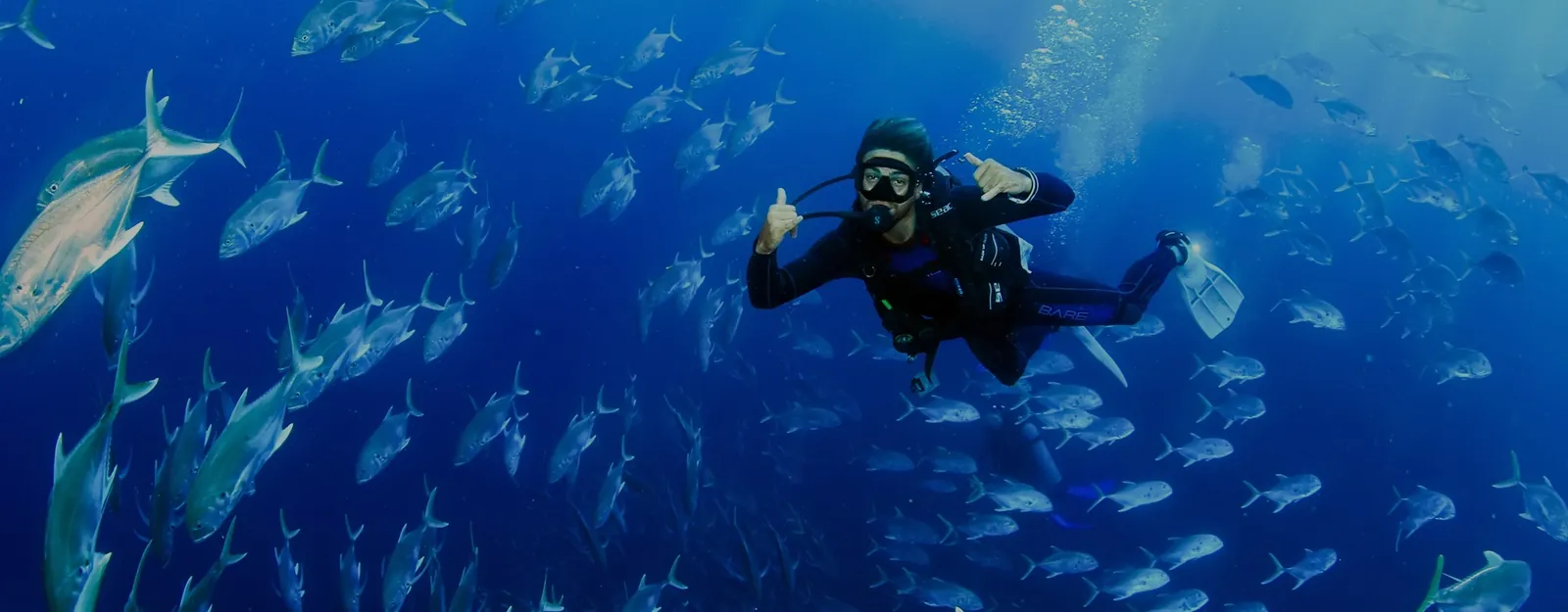 Diver giving the OK sign inside a large school of fish
