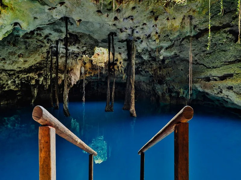 Wooden steps lead down into bright blue water inside a cavern cenote with hanging roots