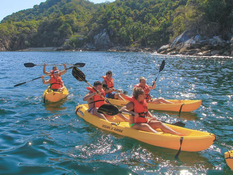 Families in yellow kayaks raising their paddles in a green cove on the South Shore