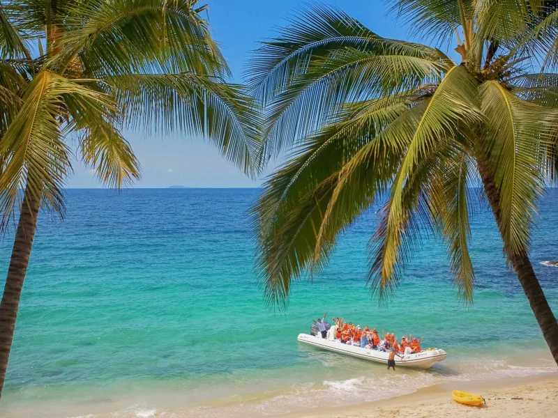 Inflatable safari boat with passengers landing on a beach framed by palm trees