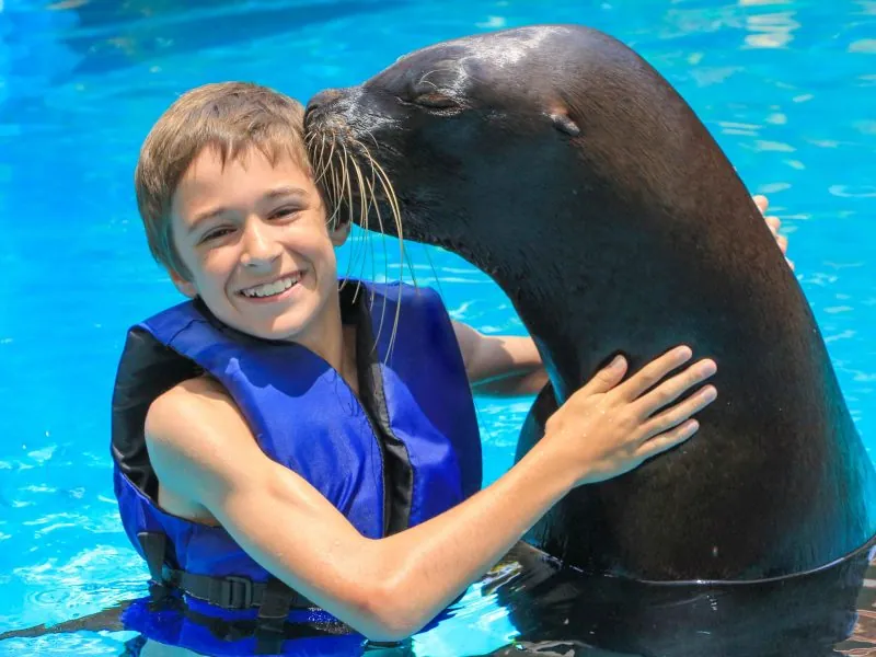 Boy in a blue life vest smiling as a sea lion rests its nose against his cheek