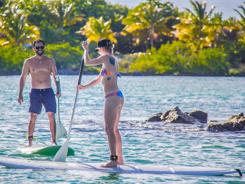 A couple paddleboarding on calm water in front of a palm-lined shore