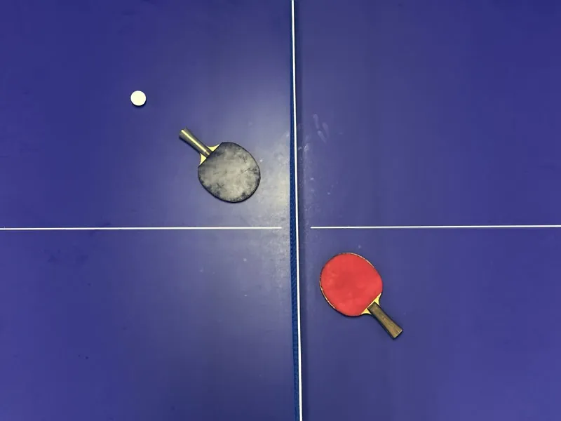 Two paddles and a ball on a blue ping-pong table seen from above