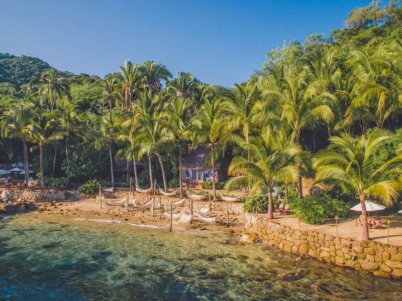 Palm grove and lagoon at the Las Caletas hideaway from above