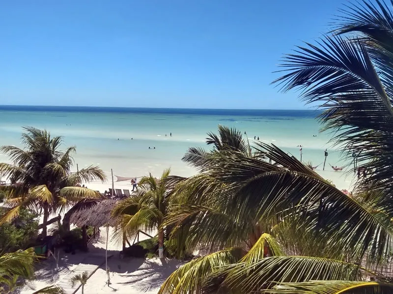Palm trees and a thatched roof above a white beach and calm shallow sea on Holbox