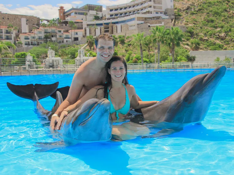 Couple embracing two bottlenose dolphins in a pool, hillside buildings behind