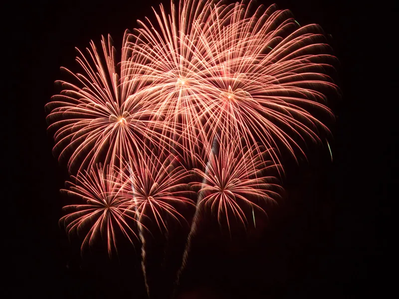 Cluster of red chrysanthemum fireworks against a black night sky