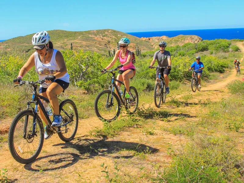 Group of mountain bikers on a dirt trail through green scrub