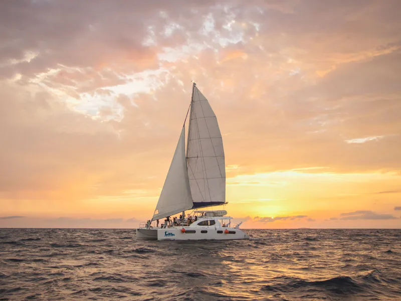 A sailing catamaran on the Caribbean under a golden and pink sunset sky