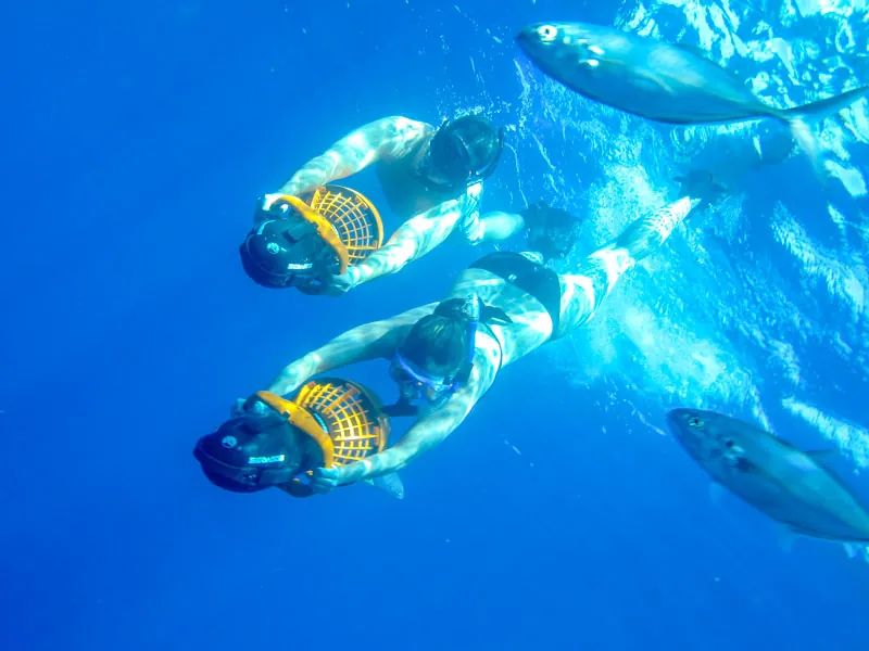 Two snorkelers pulled through blue water by handheld sea scooters, fish nearby