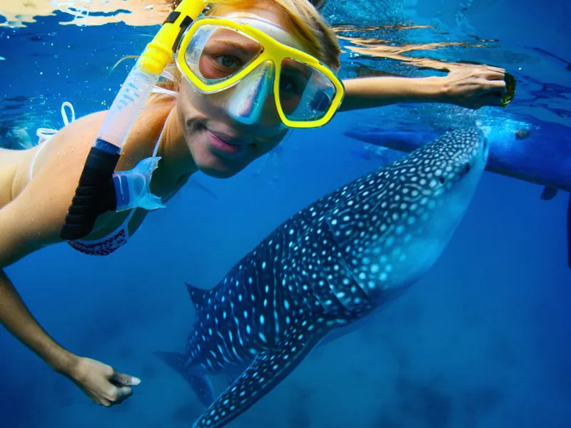 Smiling snorkeler in a yellow mask beside a spotted whale shark