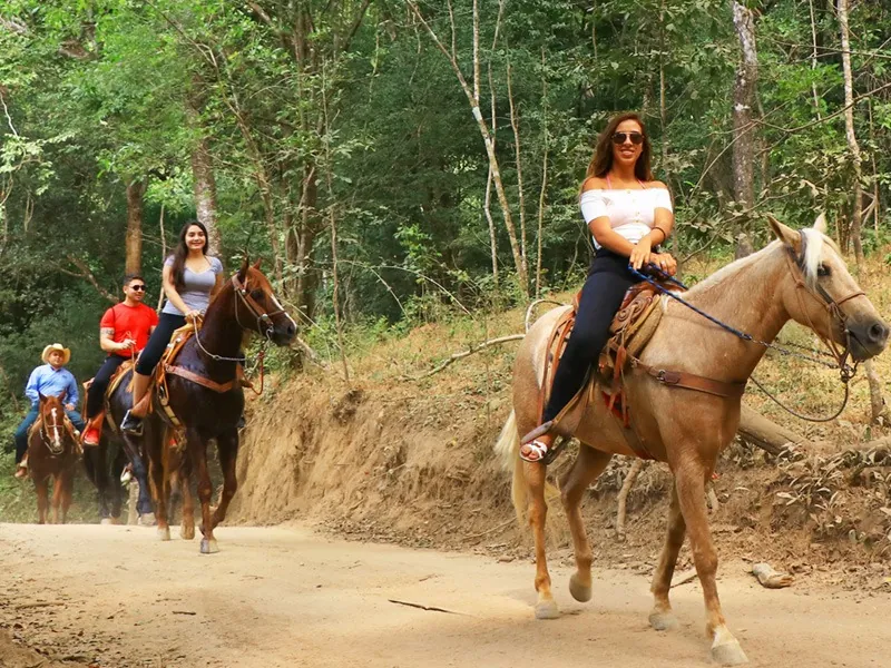 Riders in single file on a dirt trail through dry forest, Sierra Madre foothills