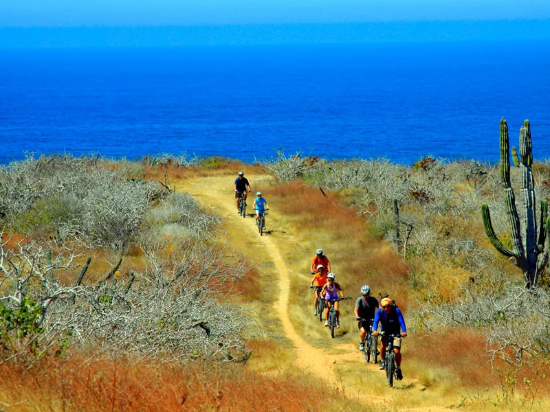 Line of mountain bikers on a singletrack trail heading toward the sea