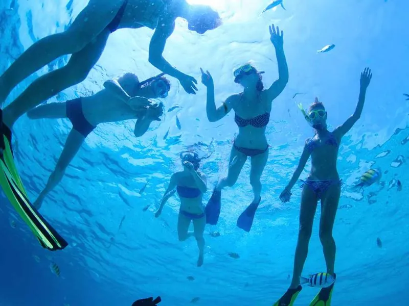 Snorkelers seen from below in clear blue water with small striped fish around them