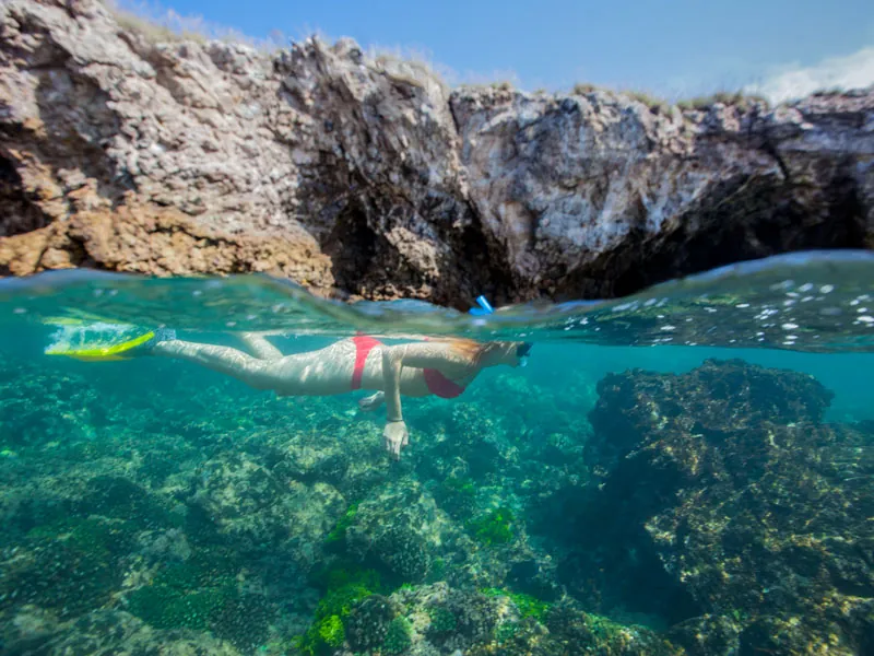 Snorkeler swimming over coral and rocks at the Marietas Islands