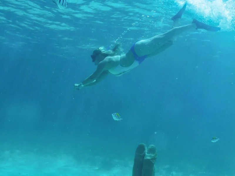 A snorkeler diving down through clear blue water with small fish nearby