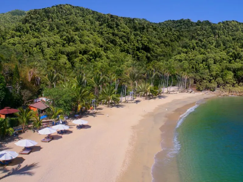 Aerial view of a curved beach with umbrellas and palapas backed by jungle on the South Shore