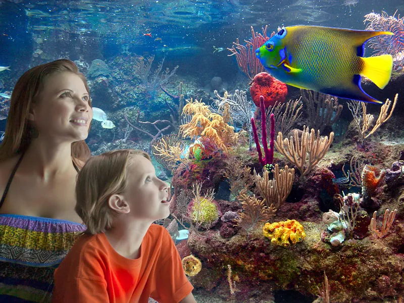 A mother and son watch a queen angelfish in the coral reef aquarium at Xcaret