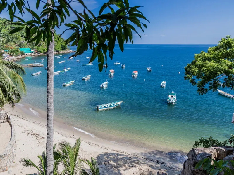 The cove at Yelapa Small cove with pangas moored in turquoise water, seen through palm fronds on the South Shore