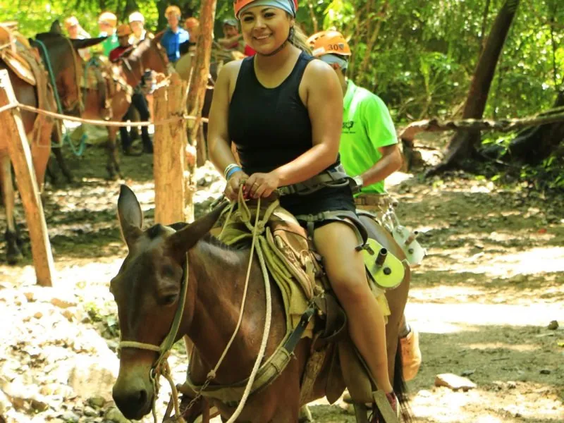 Woman riding a mule along a wooded trail with a line of saddled mules behind her