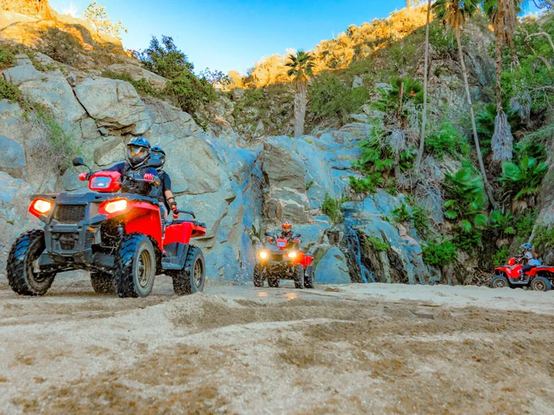 Riders on red ATVs in a rocky desert canyon with palms