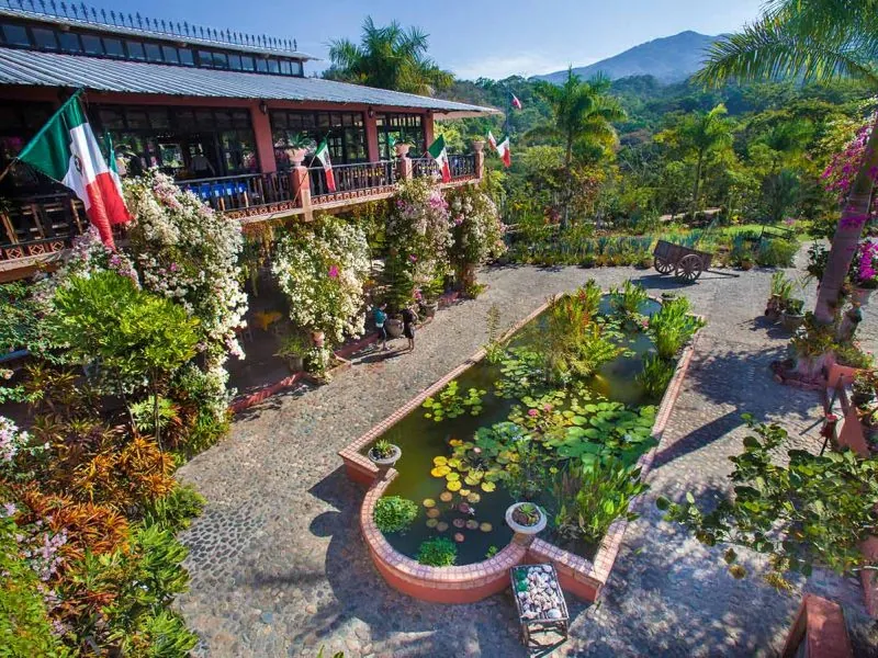 Flowering courtyard and lily pond at the Vallarta Botanical Gardens, mountains behind